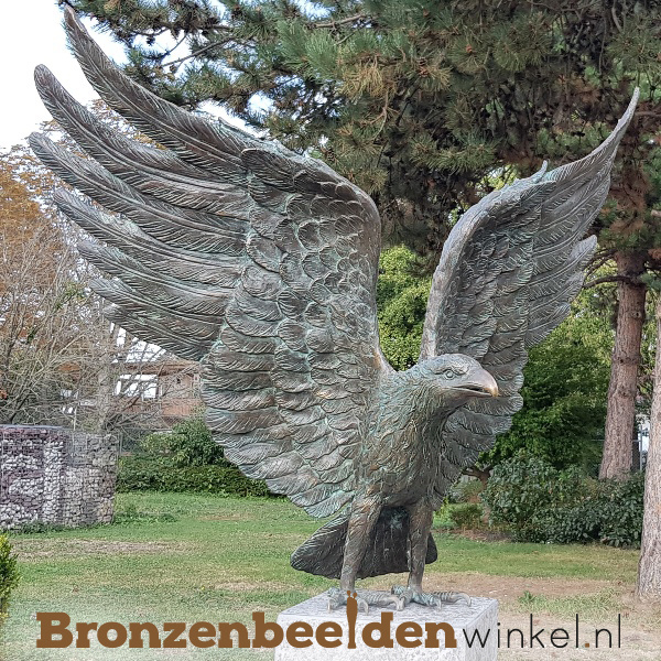 Reisbureau heilig uitgehongerd Bronzen roofvogel beeld kopen als tuinbeeld of voor in huis