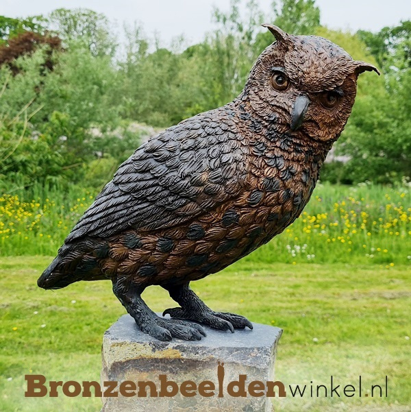 Bronzen uil beeld BBW2213