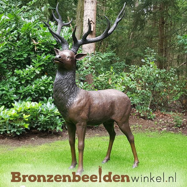 Bronzen beeld | Hert beelden in brons als tuinbeeld