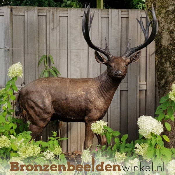 Bronzen beeld | Hert beelden in brons als tuinbeeld