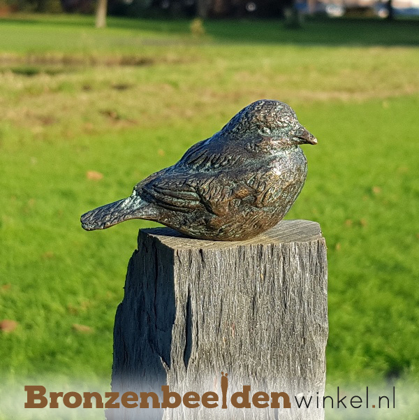 Vogel beeldje in brons BBWR88104 GRATIS onderhoudsset t.w.v. € 24,95: Ja, graag!) | Andere vogel | Bronzen Beelden Winkel