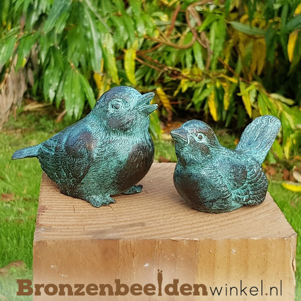 Historicus operatie Winst Bronzen beeldjes vogels BBW1319/20 (Met GRATIS onderhoudsset t.w.v. €  24,95: Ja, graag!) | Andere kleine vogel beeldjes | Bronzen Beelden Winkel