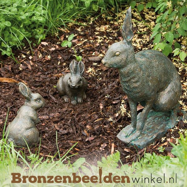 cultuur bevel erectie Beeld veldhaas met jongen BBWR88460 (Met GRATIS onderhoudsset t.w.v. €  24,95: Ja, graag!) | Bronzen konijnen en hazen | Bronzen Beelden Winkel