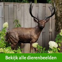 dierenbeelden