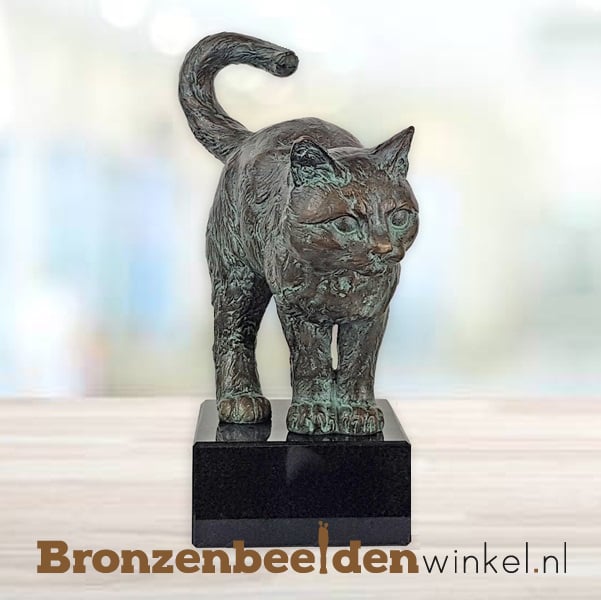 beeld kat