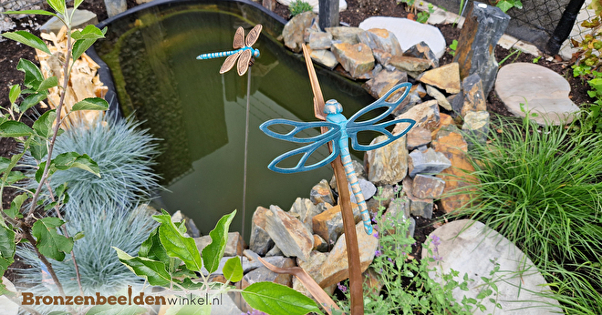 beeld libelle