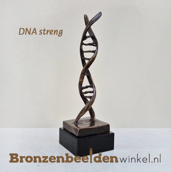beeld dokter, beeld arts, beeld dna