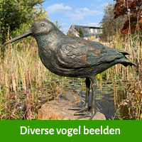 vogel beelden