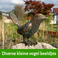 Kleine vogel beeldjes van musjes, en meer