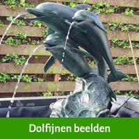 dolfijn beelden