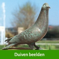 duiven beelden