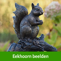 eekhoorn beelden