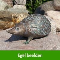 egel beelden