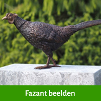 fazant beelden