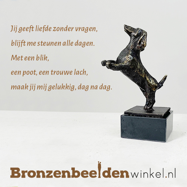 Gedicht hond liefde