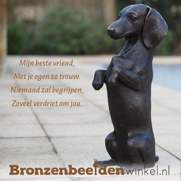 Gedicht hond overleden