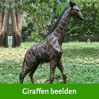 beeld giraffe