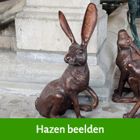 hazen beelden