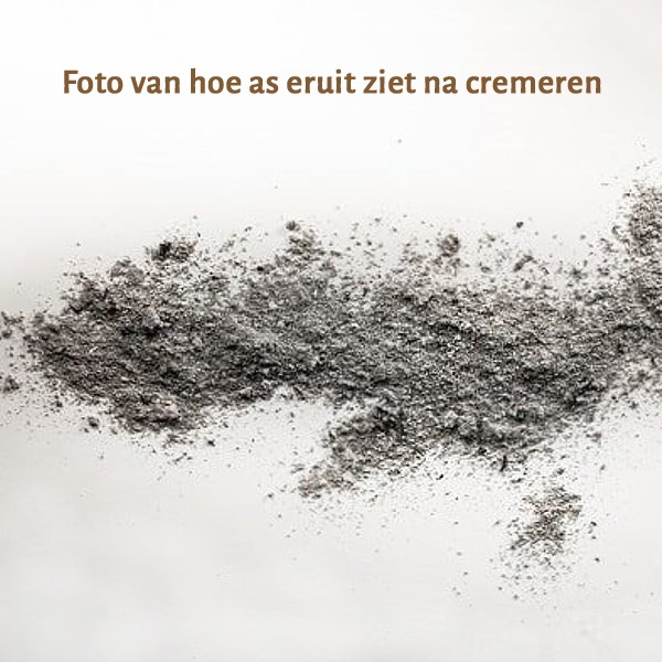 hoe ziet as eruit