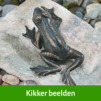 kikker beelden