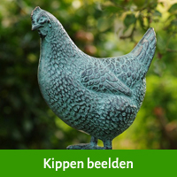 beeld kip