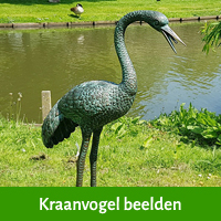 kraanvogel beelden