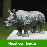 neushoorn beelden