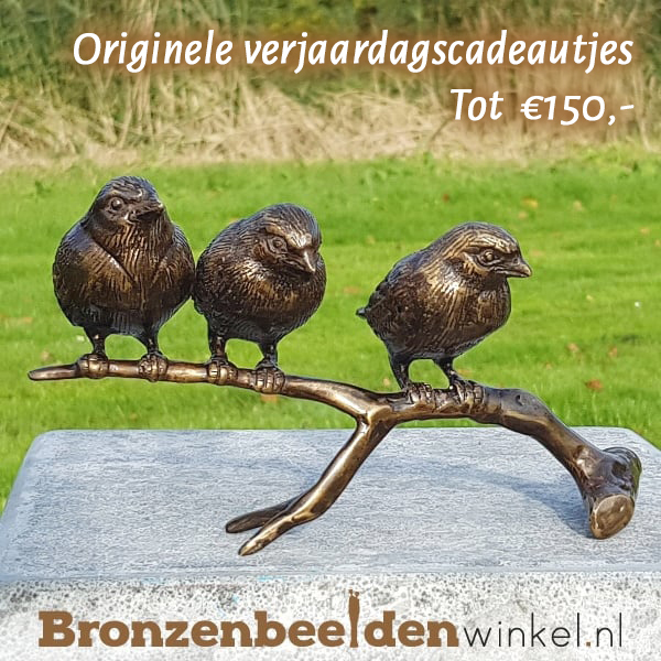 Originele verjaardagscadeautjes tot 150 euro