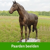 paarden beelden