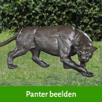 panter beelden