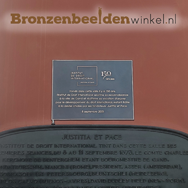 plaquette Institut De Droit International