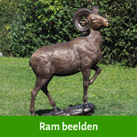 beeld ram