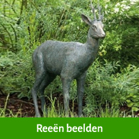 reeën beelden