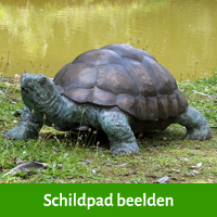 schildpad beelden