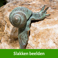 Slakken beelden