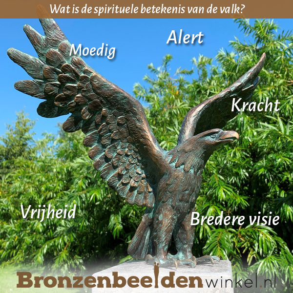 Spirituele betekenis adelaar