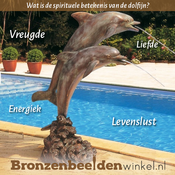 Spirituele betekenis dolfijn