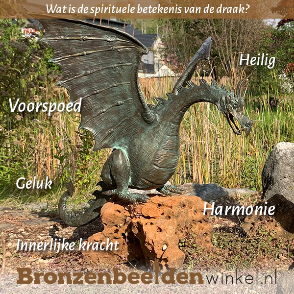 spirituele betekenis draak