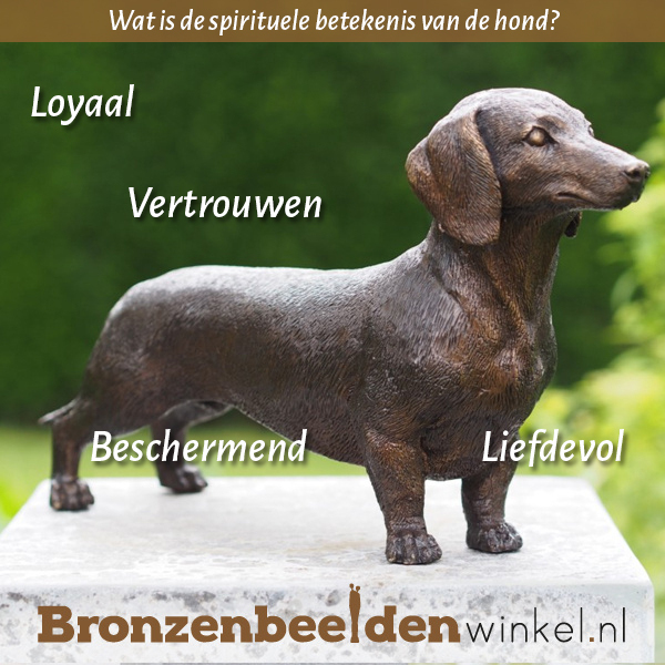 Spirituele betekenis hond