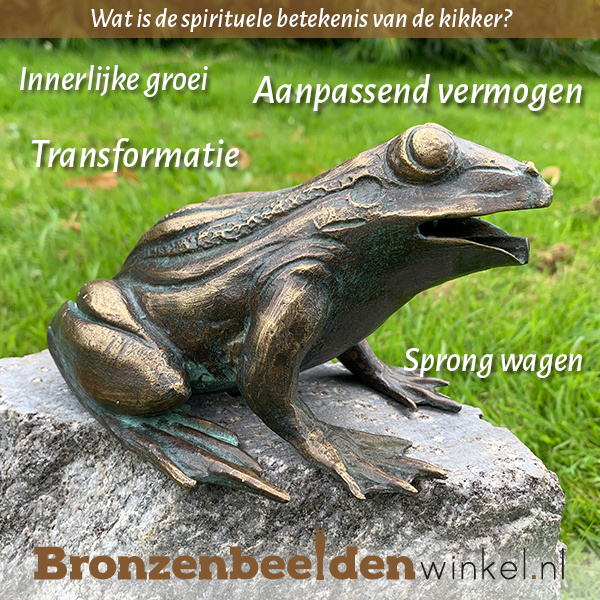 Spirituele betekenis kikker