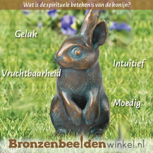 Spirituele betekenis konijn