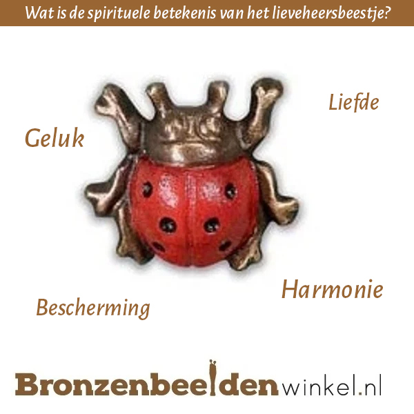 Spirituele betekenis lieveheersbeestje