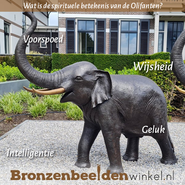 Spirituele betekenis olifant