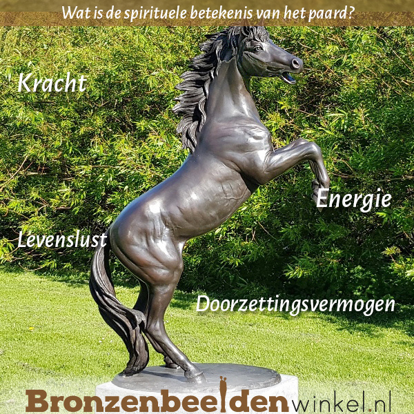 Spirituele betekenis paard