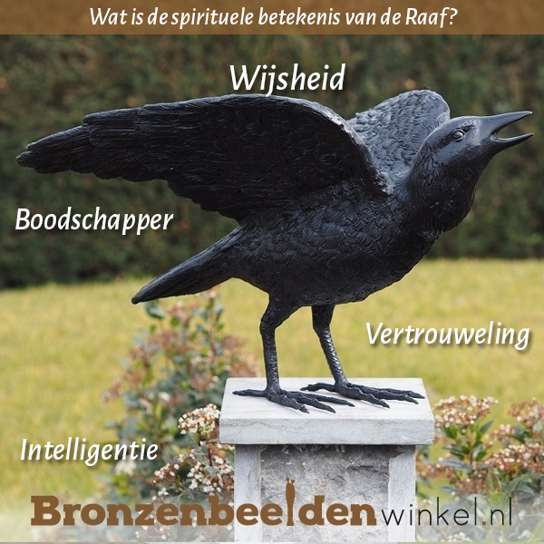 Raaf spirituele betekenis