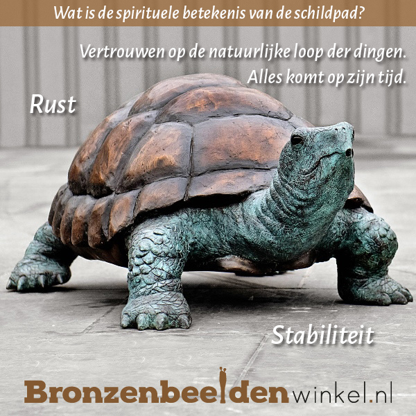 Spirituele betekenis schildpad