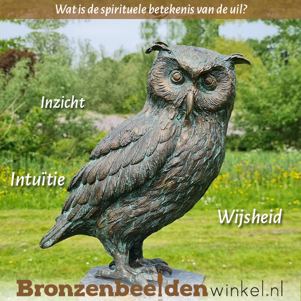 spiriuele betekenis uil