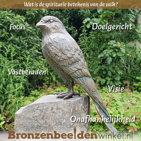 Spirituele betekenis valk
