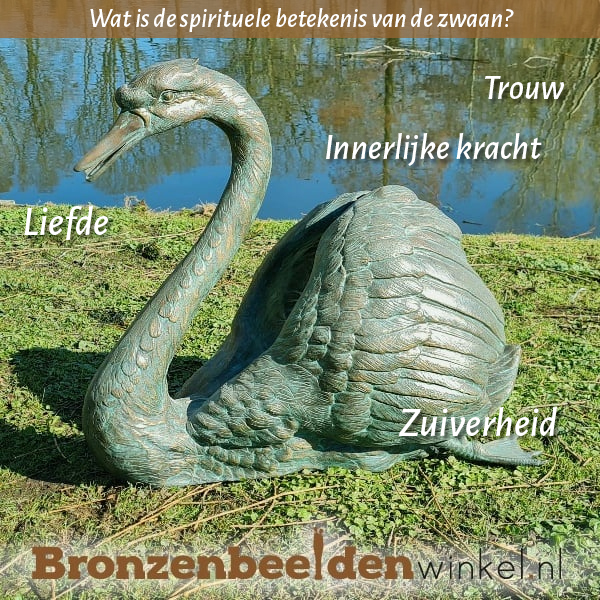 Spirituele betekenis zwaan