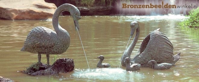 Stof oorsprong Hover ᐅ • Bronzen zwaan beeld kopen | Tuinbeeld zwaan van bons
